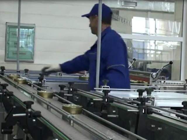 Транспортер пластинчатый (Универсальный) в Шалушке