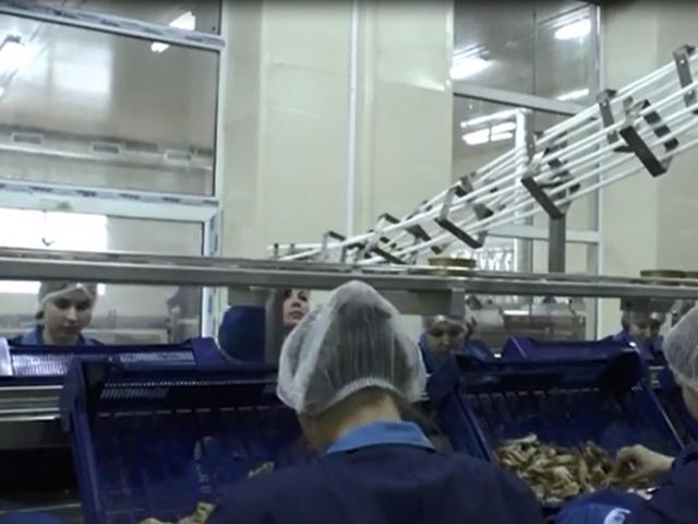 Гравитационная направляющая для пустой жестяной тары в Шалушке